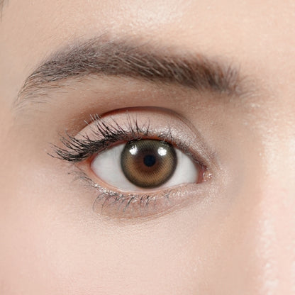 COCOA DREAM | 1-Day (5 Pair)