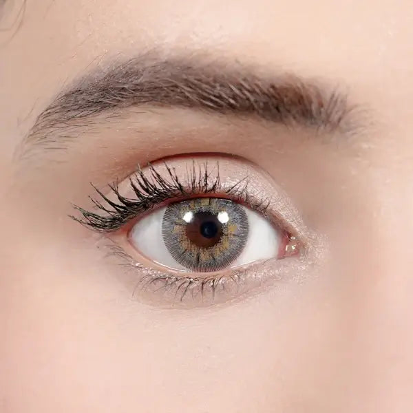 MYSTIC GRAY | 1-Day (5 Pair)