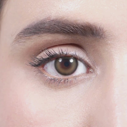 COCOA DREAM | 1-Day (5 Pair)