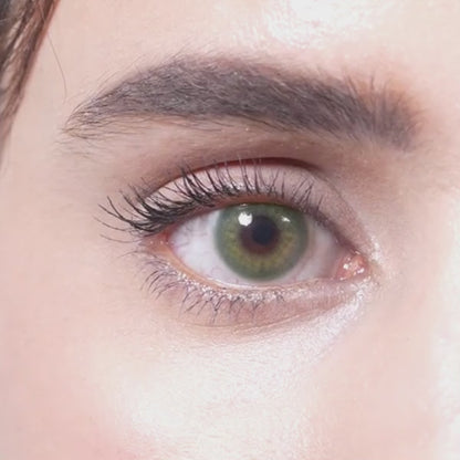 WOODY GREEN | 1-Day (5 Pair)