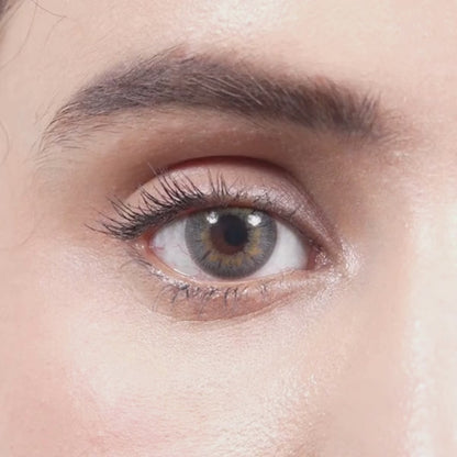 MYSTIC GRAY | 1-Day (1 Pair)