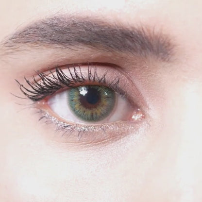 FOREST GREEN | 1-Day (5 Pair)