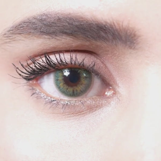 FOREST GREEN | 1-Day (1 Pair)