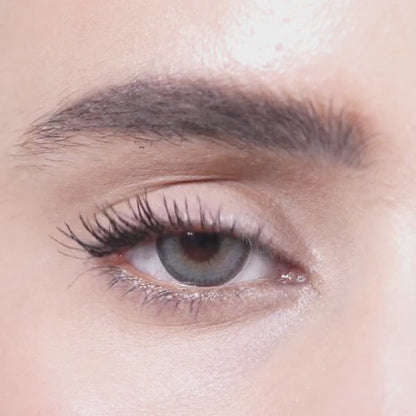 FROST GRAY | 1-Day (1 Pair)