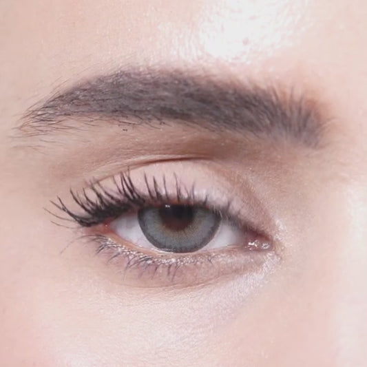 FROST GRAY | 1-Day (1 Pair)